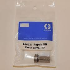 KIT, REPAIR, CHECK VALVE, ISO