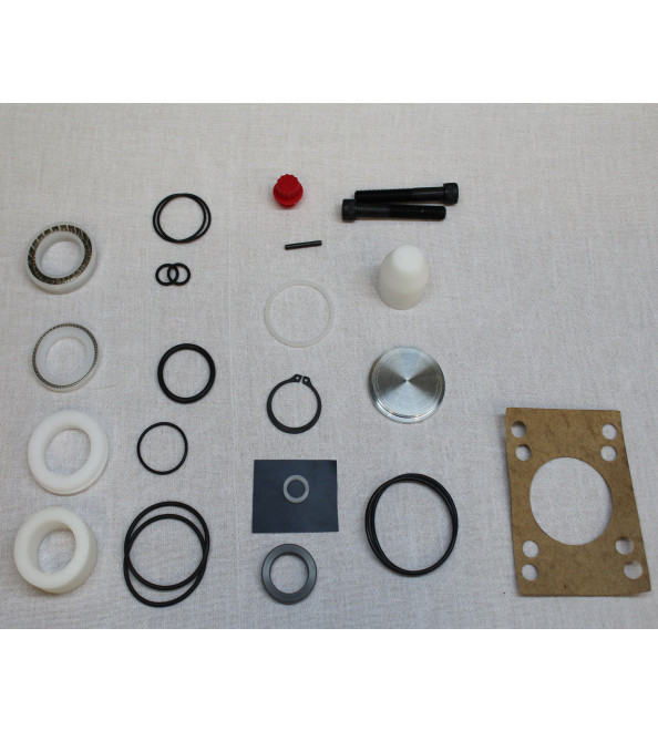 120 A PUMP REBUILD KIT